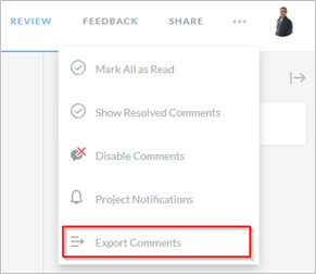 Selecting Export Comments 
