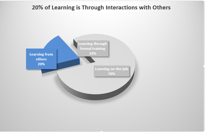 20% of the Learning Model