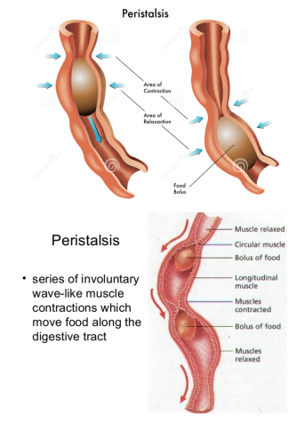 A sample interpretive visual 