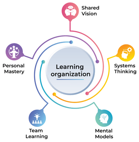 What is a Learning Organisation?