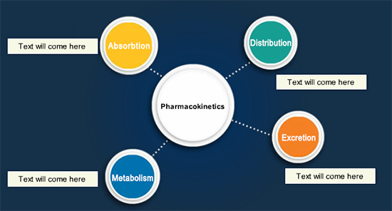 Product Pharmacokinetics