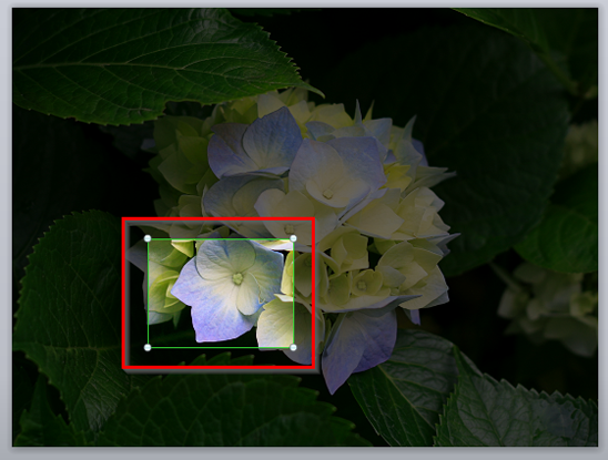 Example to show the zooming in technique Example to show the zooming in technique