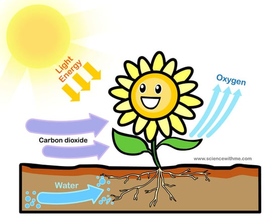 Animated Diagrams