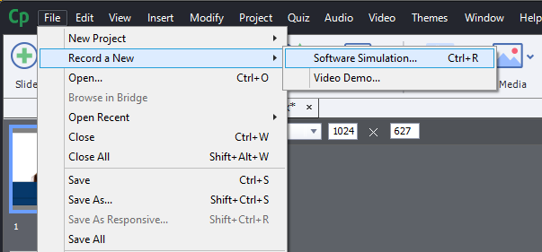 Enhancing Resolution of Software Simulations