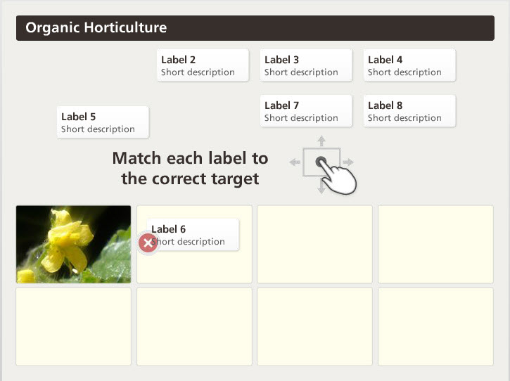 Formative Assessments in Elearning- Articulate studio 1