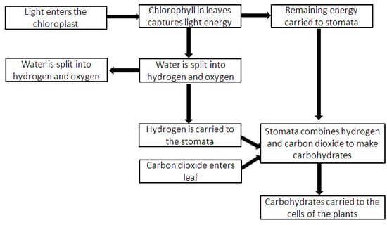 Process Flow Diagram