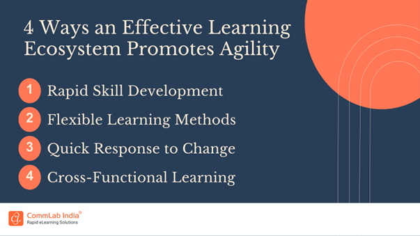 4  Ways an Effective Learning Ecosystem Promotes Agility