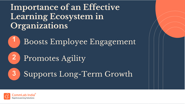 Importance of an Effective Learning Ecosystem in Organizations