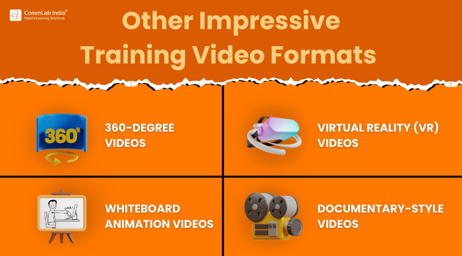 Training Video Formats
