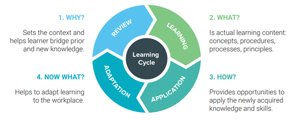 Phases of the Learning Cycle