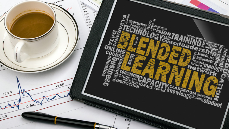  What Makes for Successful Blended Learning? 